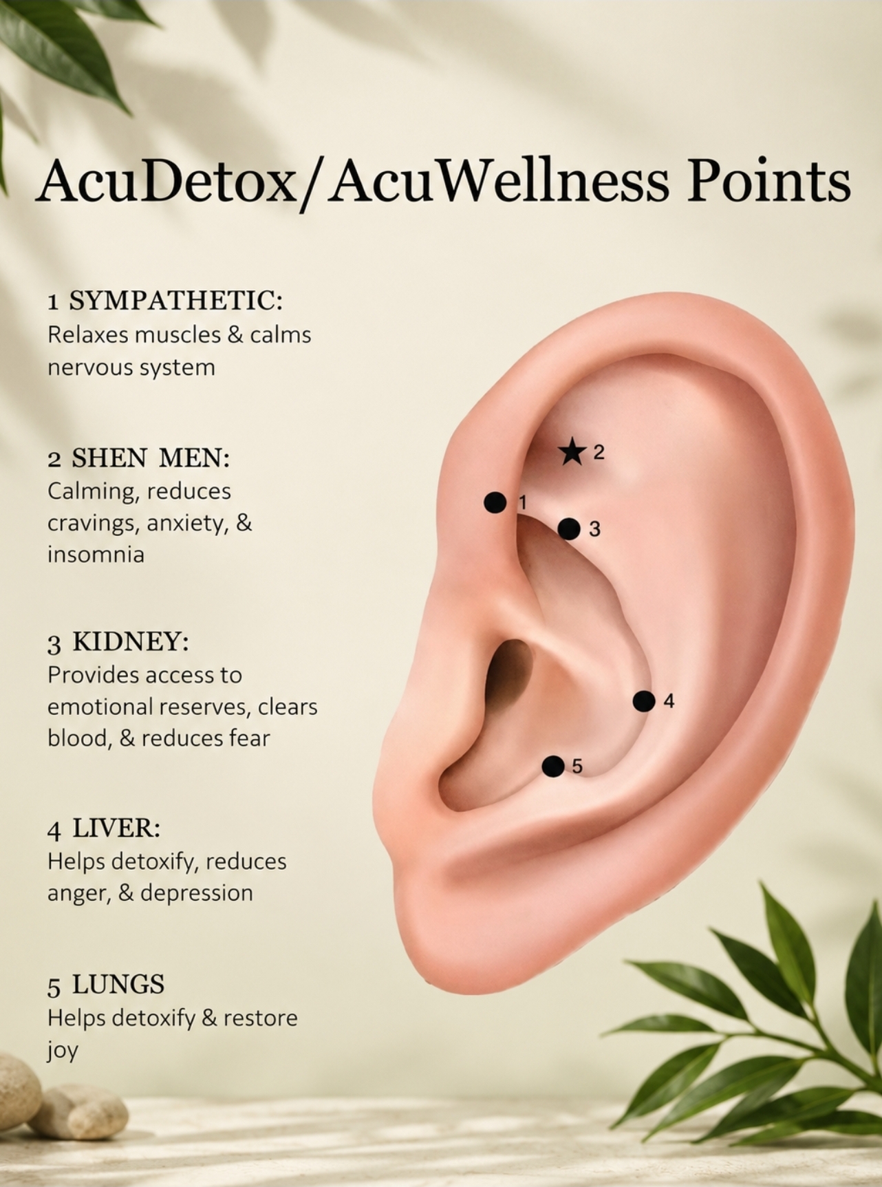 Diagram of the five AcuDetox points on the ear